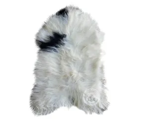 Icelandic Sheepskin - Exotic