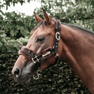 Kentucky Horsewear Nylon Sheepskin Headcollar - Brown